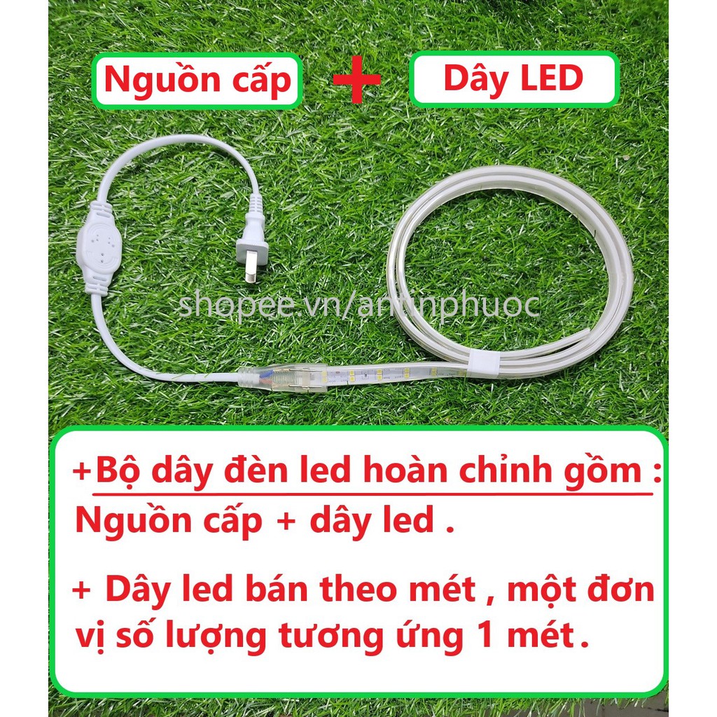 Đèn led dây đôi 220v trang trí , ánh sáng nền - Dây led đôi 2835 hắc trần màu trắng ,vàng siêu sáng quấn cây , ốp tường | BigBuy360 - bigbuy360.vn