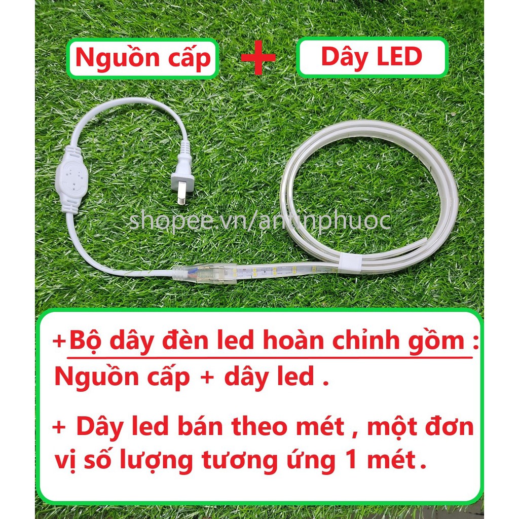 Đèn led dây đôi 220v trang trí , ánh sáng nền - ảnh sản phẩm 2