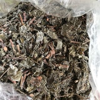 Sỉ như lẻ 3kg chè dây rừng