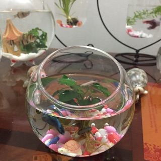 Bình thủy tinh quả cầu 3 size 10 cm, 12 cm, 15 cm