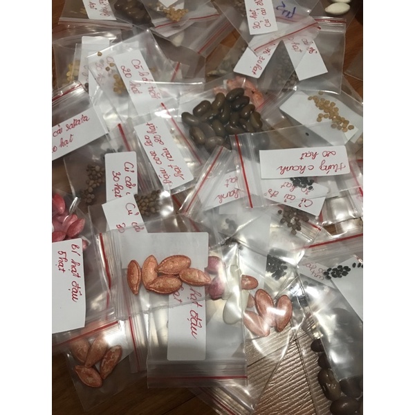 Combo 20 loại hạt giống (túi zip) (chỉ đặt 1 combo cho 1 đơn hàng)