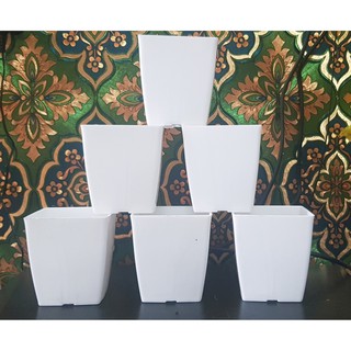 COMBO 5 CHẬU NHỰA CẮM HOA