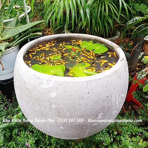 Chậu xi măng đá mài tròn 40x31cm (hỏa tốc)