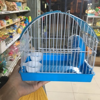 Combo cho các bạn mới nuôi Hams