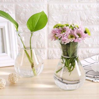 [GIÁ HỦY DIỆT] Bình bông thủy tinh miệng loe