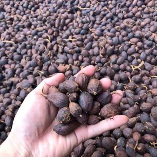 50g thảo quả khô