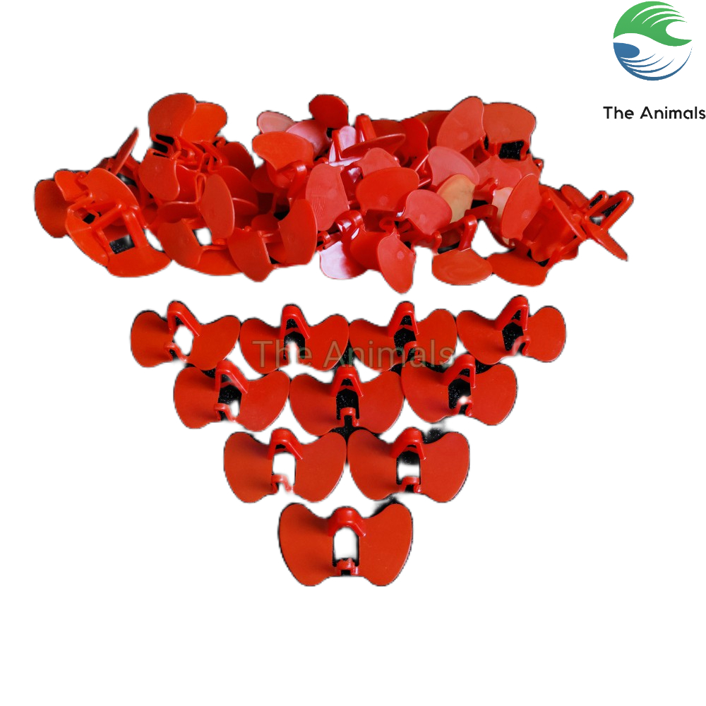 [Combo 100 cái] Kính chống mổ cho gà thả vườn