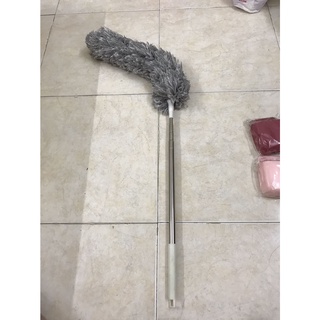 Cây Lau Bụi Trần Nhà
