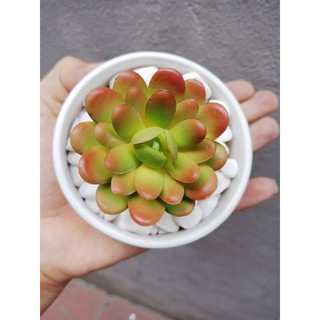 Chậu cây Bát Tràng