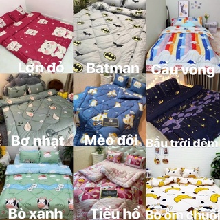 Set chăn phao ga gối poly