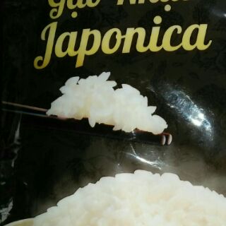 GẠO NHẬT siêu dẻo JAPONICA