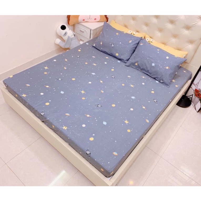 Ga giường ký túc xá 80 x 190 x 5cm.