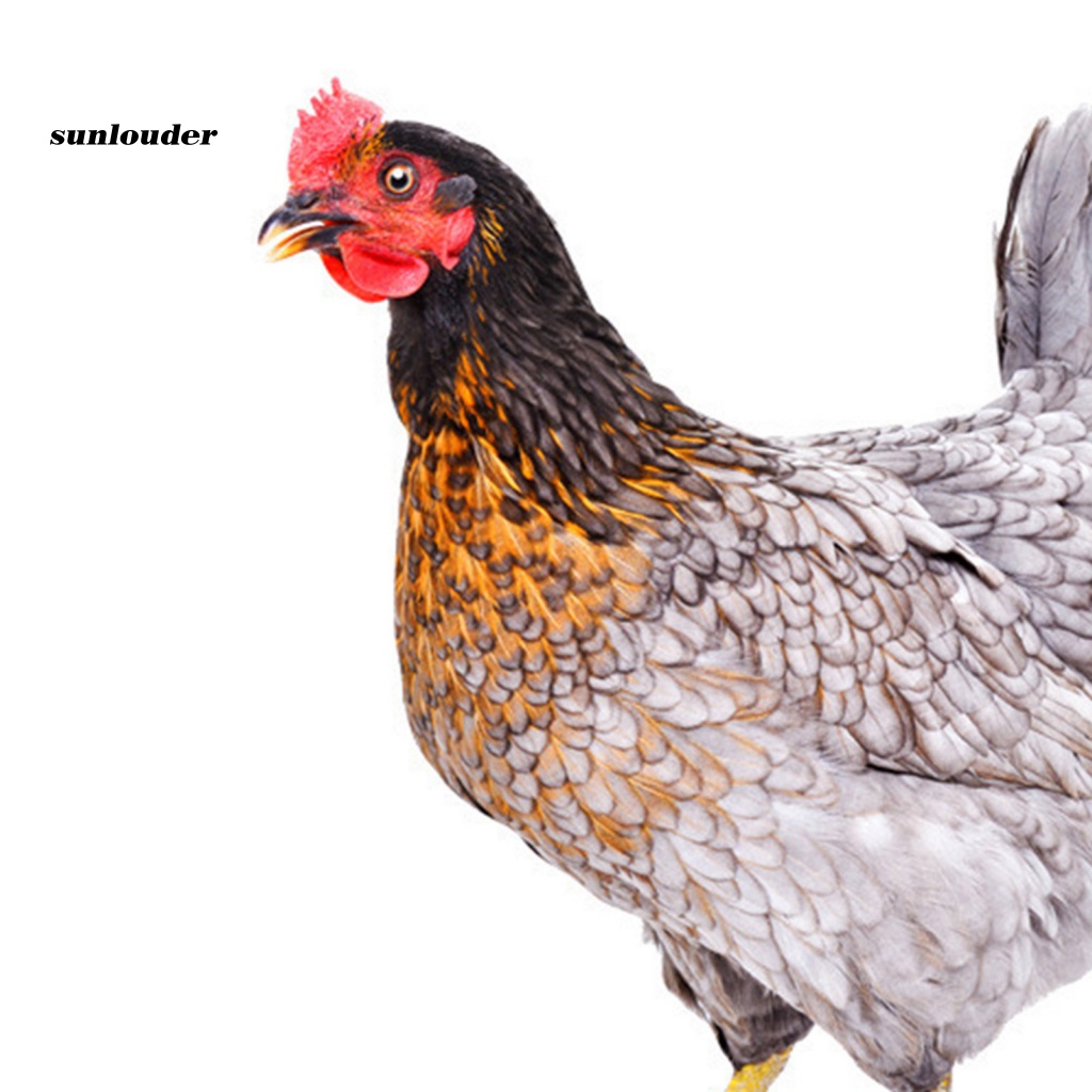 Mô Hình Con Gà Trống Trang Trí Sân Vườn