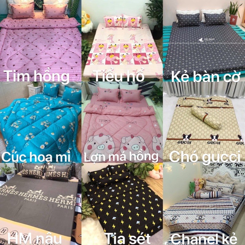 Vỏ gối ôm nhiều mẫu cotton poly