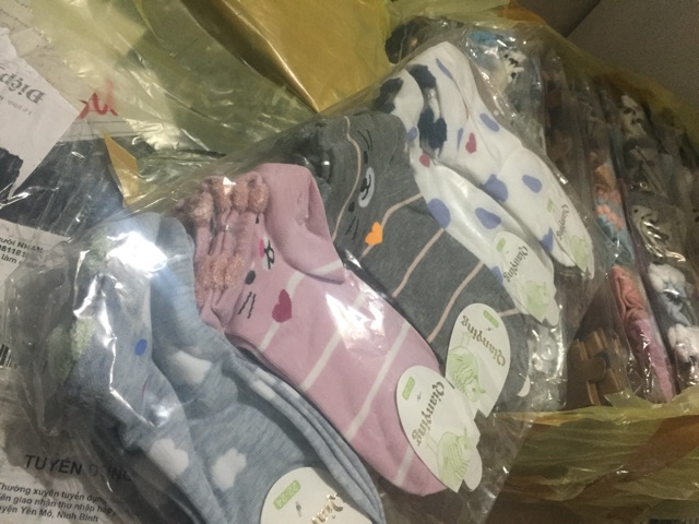 Combo sỉ 10 đôi tất tai mèo cho nữ maqux bất kì trộn | BigBuy360 - bigbuy360.vn