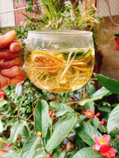 Trà chanh xả bạc hà
