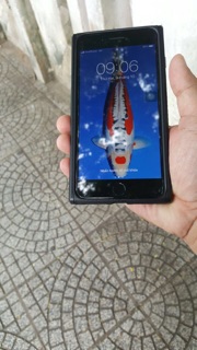 Ốp lưng Vertu dành cho Iphone 8 Plus, 7 Plus