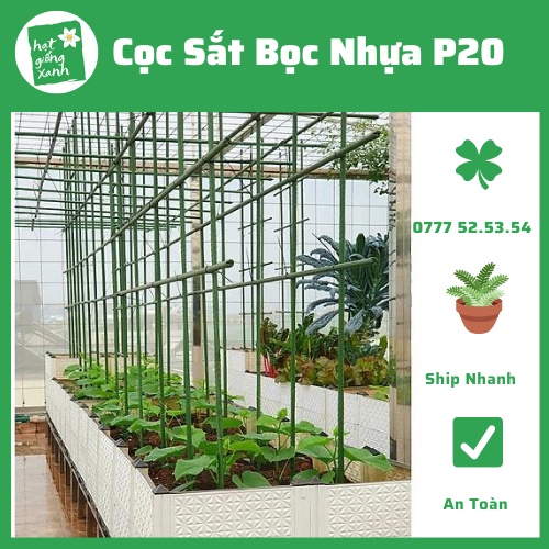 Cọc Thép Bọc Nhựa Pi20, Làm Giàn Leo, Cố Định Thân Cây