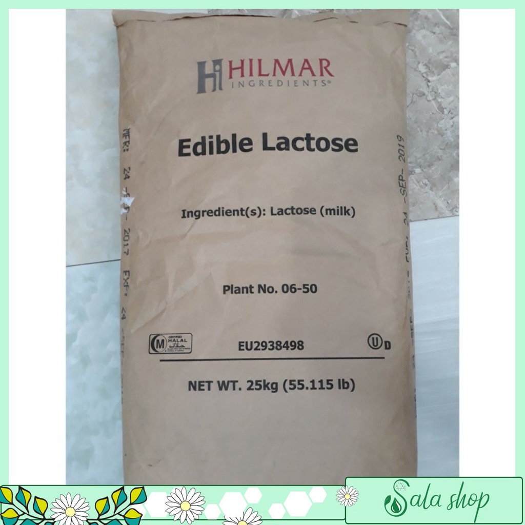 Đường Lactose 100Mesh_Bao 25Kg (Dùng cho thực phẩm)