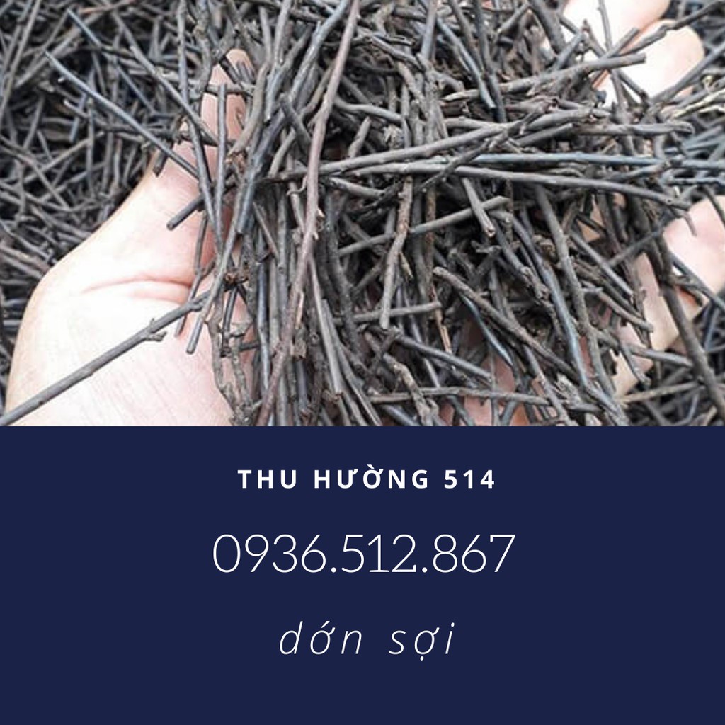 Dớn Cọng-Dớn Sợi-Giá Thể Trồng Lan Cực Kỳ Tốt ( 100G)