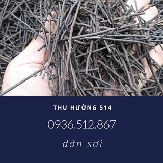 Dớn cọng-dớn sợi-giá thể trồng lan cực kỳ tốt