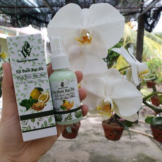 Xịt bưởi bạc hà/ Xịt quế sả chanh kích thích mọc tóc, ngăn rụng, kiềm dầu, chống bết tóc