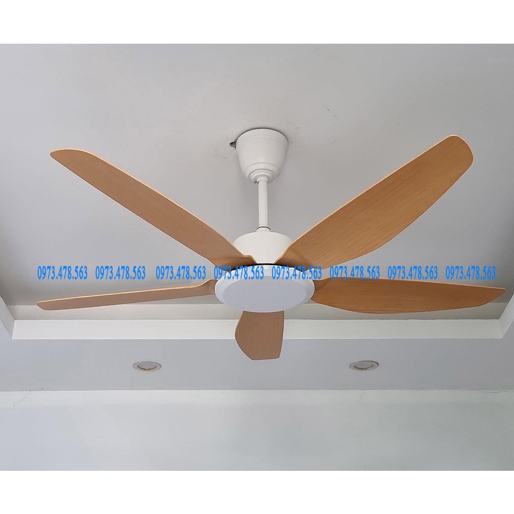 Quạt trần hiện đại có remote từ xa 6 tốc độ mát,đảo ngược chiều hút ẩm trang trí phòng khách hội trường sảnh