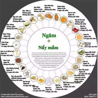 Máy làm sữa hạt ranbem 769s