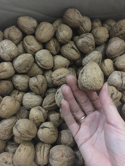 1kg Quả óc chó Trái Tim Hartley Mỹ