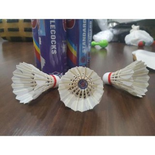 1 ỐNG CẦU LÔNG 88 (10 QUẢ)