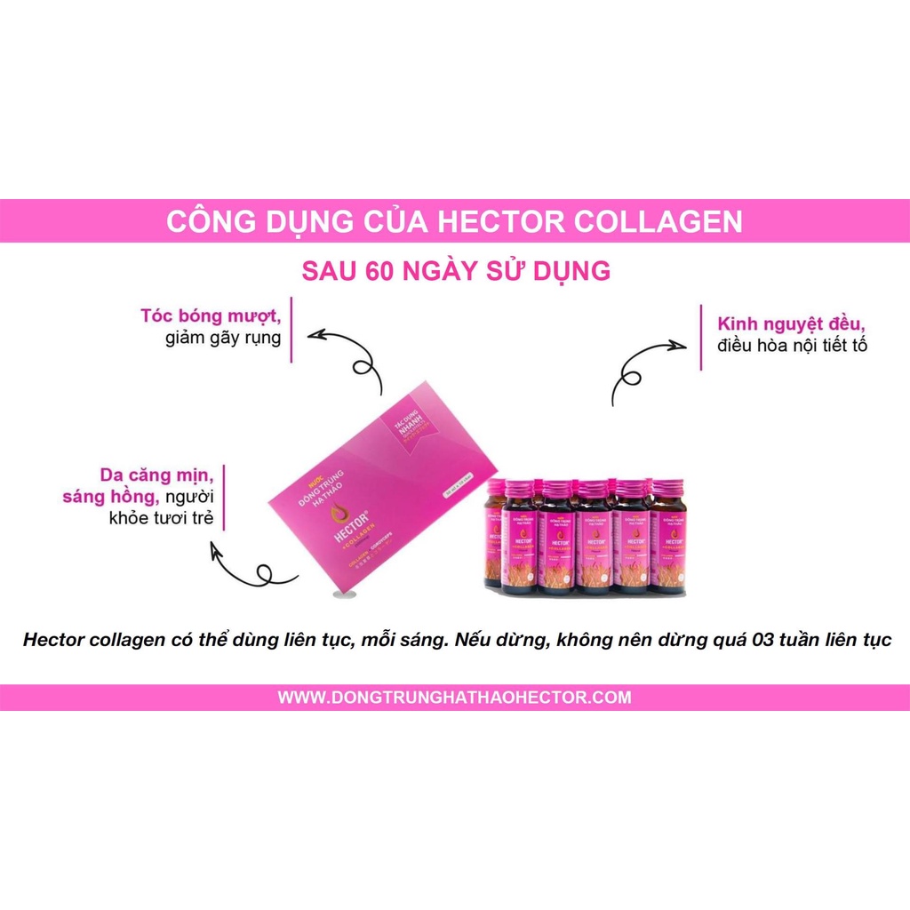 NƯỚC UỐNG COLLAGEN ĐÔNG TRÙNG HẠ THẢO HECTOR ĐẸP DA - HỘP 10 CHAI 50ML