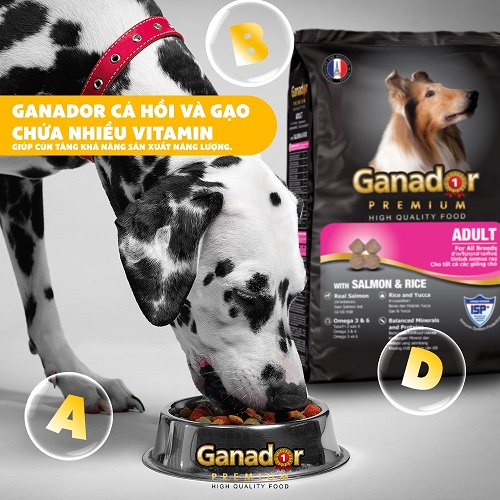 THỨC ĂN CHO CHÓ GANADOR 400G