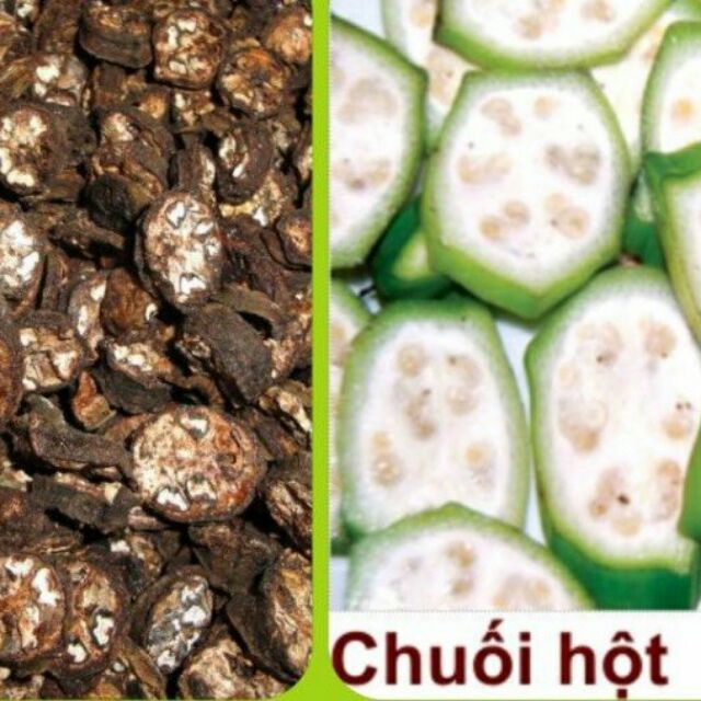 Chuối hột rừng