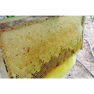 Chanh đào ngâm mật ong (hũ thủy tinh 1000ml)