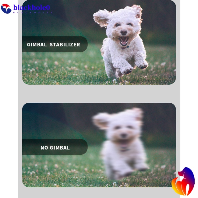 Gậy Selfie BH L09 Bluetooth Đa Chức Năng Có Thể Thu Gọn