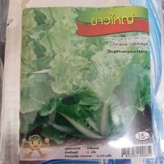 HẠT GIỐNG CẢI DÚNG NGỌT THÁI LAN