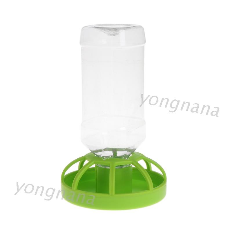 Khay Đựng Nước Uống Cho Bò Sát