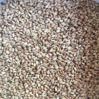 Vừng vàng 500g