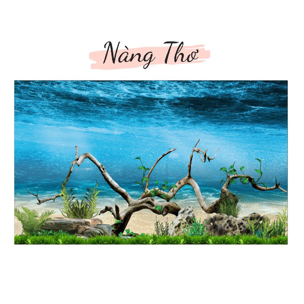 DECAL HỒ CÁ CÂY THUỶ SINH 3D_THIẾT KẾ NÀNG THƠ