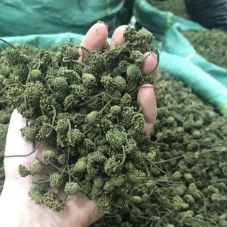 Nụ hoa tam thất  500g