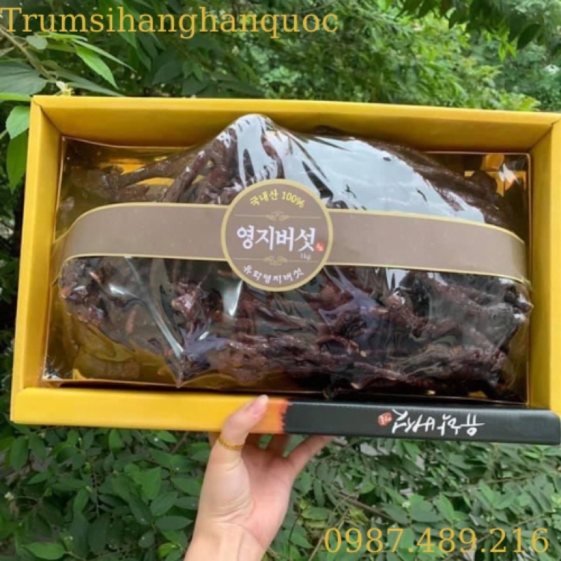 [ HÀNG MỚI VỀ ] Nấm Linh Chi Sừng Hươu Hàn Quốc, Hộp 500gr