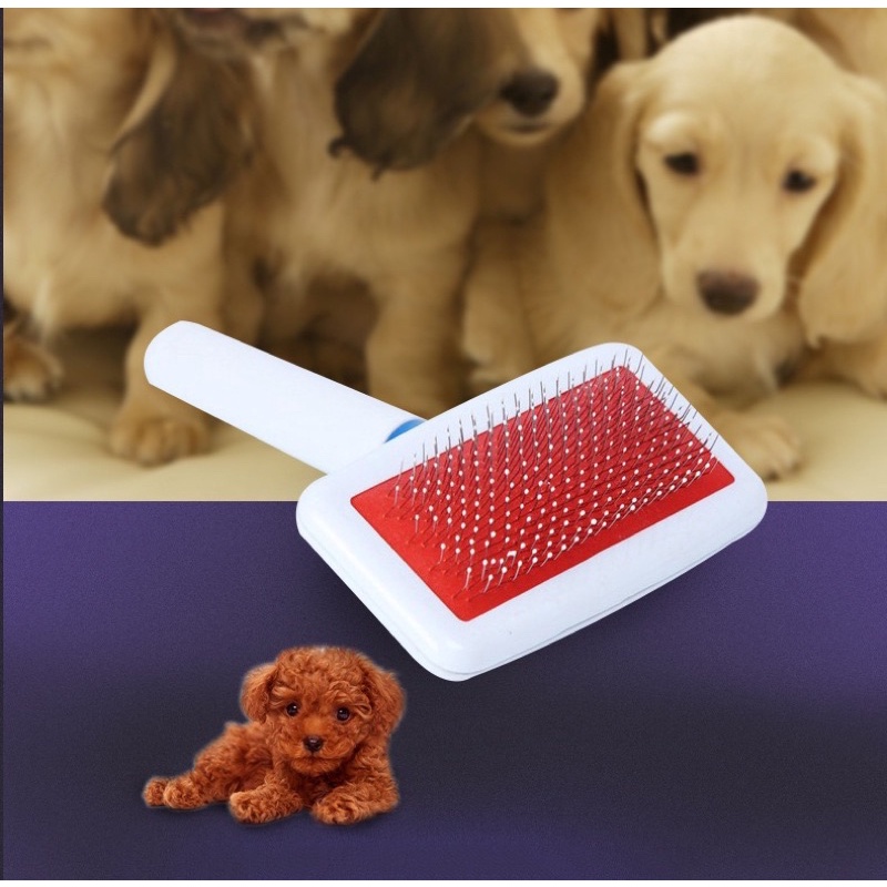 Lược chải lông cho chó mèo, pet