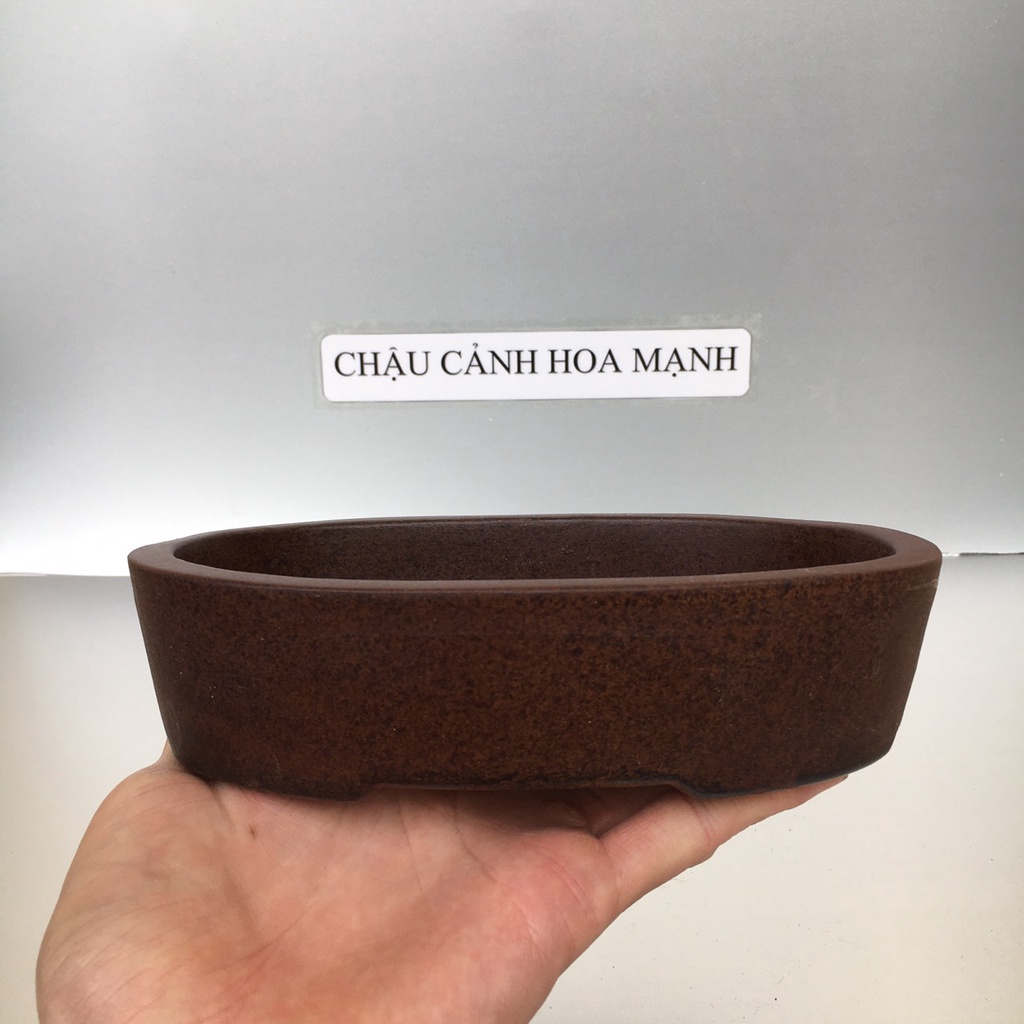 Chậu Ovan bonsai sen đá màu Men tử sa mini gốm Bát tràng 1 size SP391