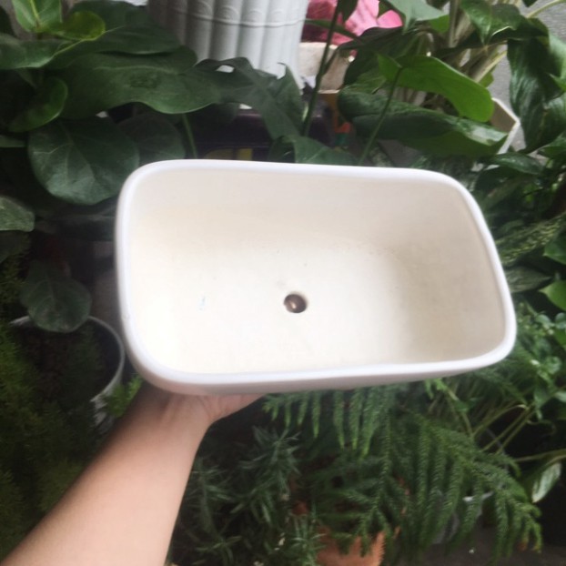 [Rẻ vô địch] - Chậu sứ tráng men chữ nhật size lớn: 26 x 15x 8,5cm ( nhiều màu)