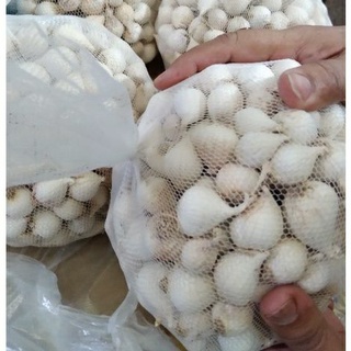 500g tỏi cô đơn Lý Sơn