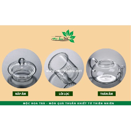 ẤM TRÀ THỦY TINH CÓ LÕI LỌC - Mộc Hoa Trà