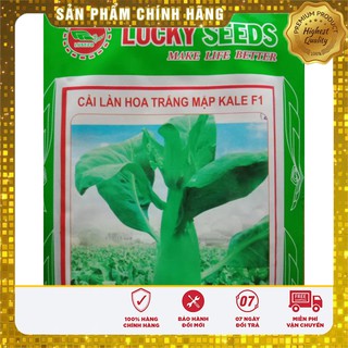 Hạt Giống Cải Làn Mập