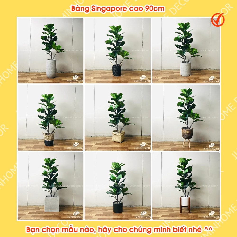 Cây giả, cây bàng singapore giả - Cây giả decor trang trí nhà cửa nội thất phòng khách phòng ngủ
