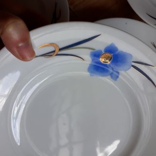 Chén đĩa - chị Hạnh Dương