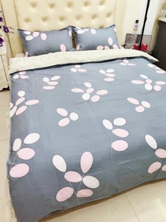 SET CHĂN GA GỐI COTTON LỤA DEMI